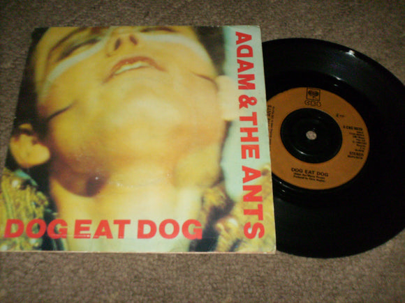 Adam And The Ants - Dog Eat Dog [48849]