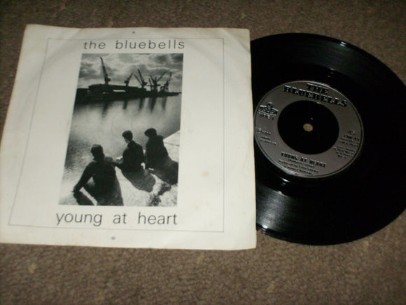 The Bluebells - Young At Heart [48911]