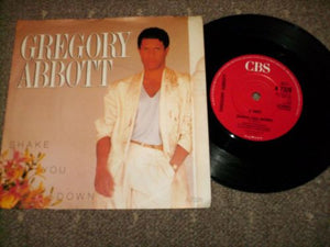 Gregory Abbott - Shake You Down