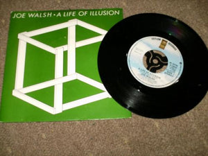 Joe Walsh - A Life Of Illusion