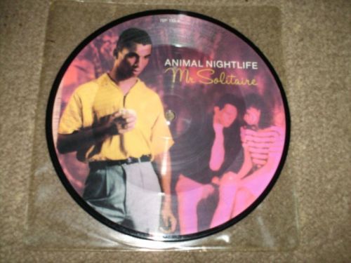 Animal Nightlife - Mr Solitaire