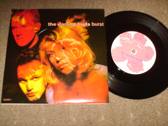 The Darling Buds - Burst