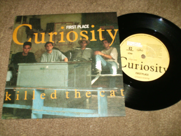 Curiosity Killed The Cat - First Place