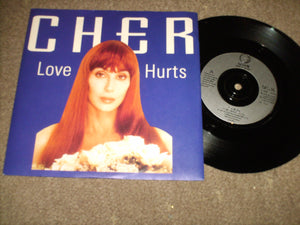 Cher  - Love Hurts