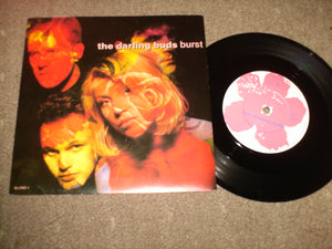 The Darling Buds - Burst