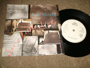 Bob Mould - See A Little Light