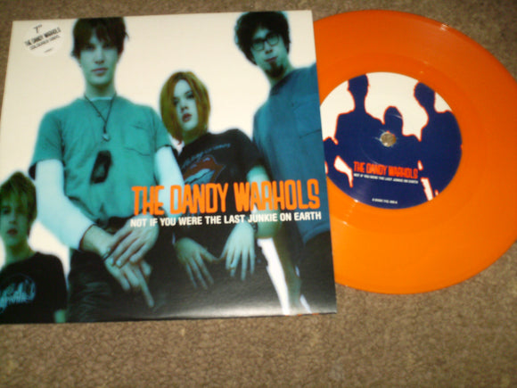 The Dandy Warhols - Not If You Were The Last Junkie On Earth