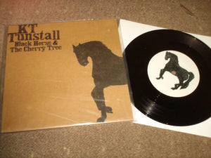 KT Tunstall - Black Horse & The Cherry Tree