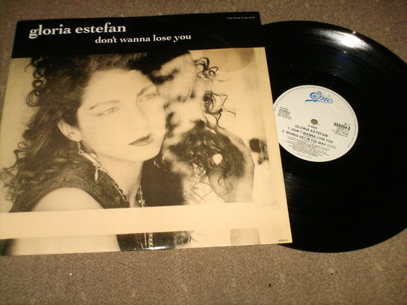 Gloria Estefan - Dont Wanna Lose You