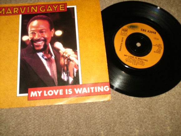 Marvin Gaye - My Love Is Waiting