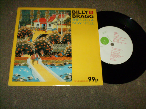 Billy Bragg - She's Got A New Spell