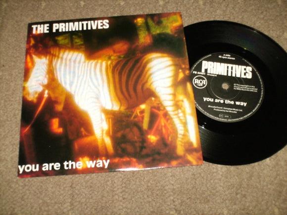 The Primitives - You Are The Way