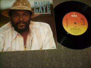 Marvin Gaye - Sanctified Lady