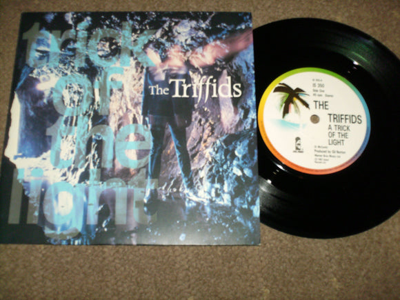 The Triffids - A Trick Of The Light